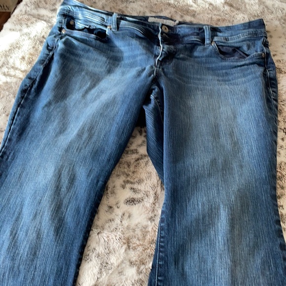 Torrid jeans